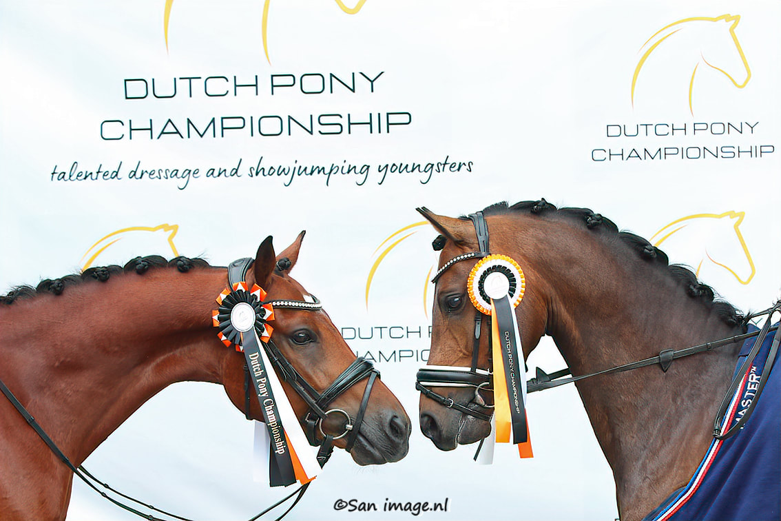 Dutch Pony Championship Dressuurstal Seren Vorden 2022-06-25